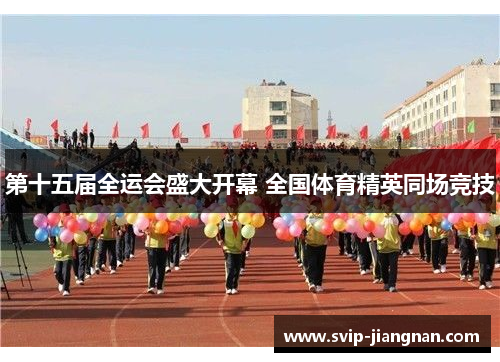 第十五届全运会盛大开幕 全国体育精英同场竞技