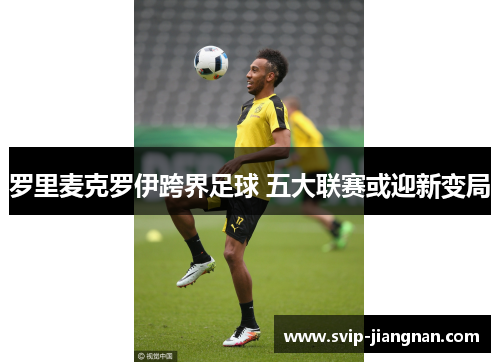 罗里麦克罗伊跨界足球 五大联赛或迎新变局